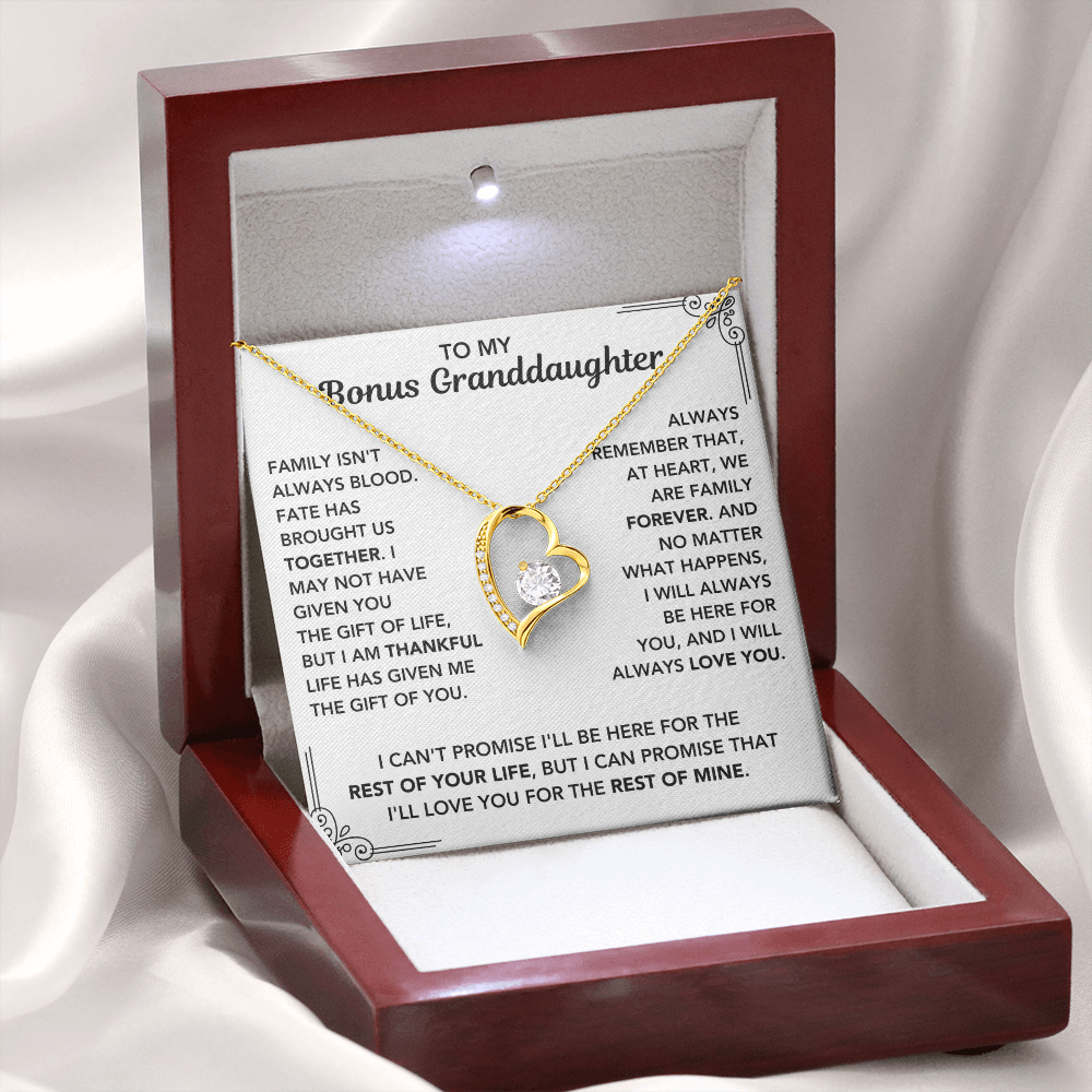 To My Bonus Grand Daughter - "My Family Forever" Necklace
